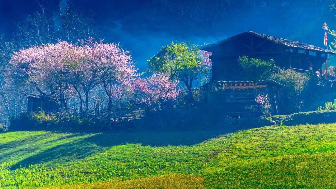 叛徒连中三弹,子弹穿过脖子居然未死,二次刺杀乱枪击毙